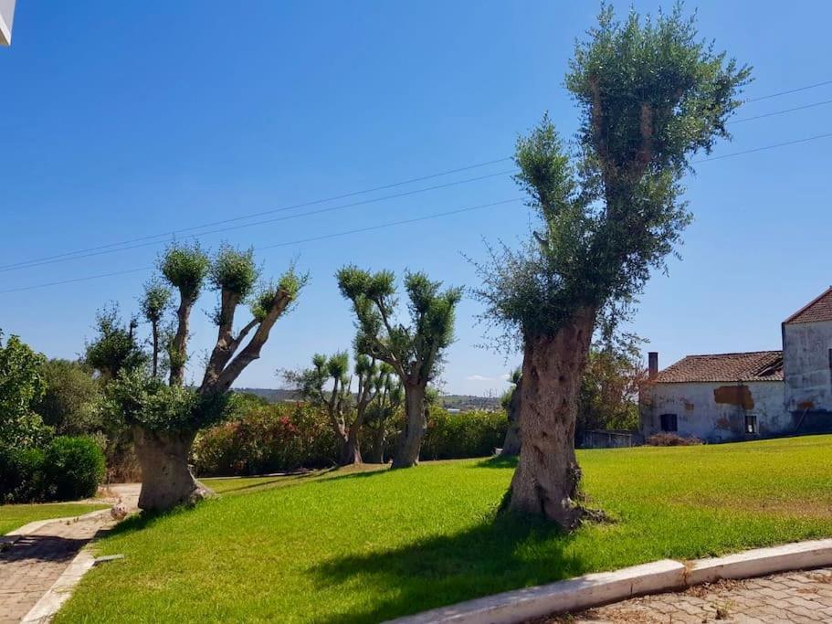 Blue Skies Villas 1&2 Mexilhoeira Grande 외부 사진