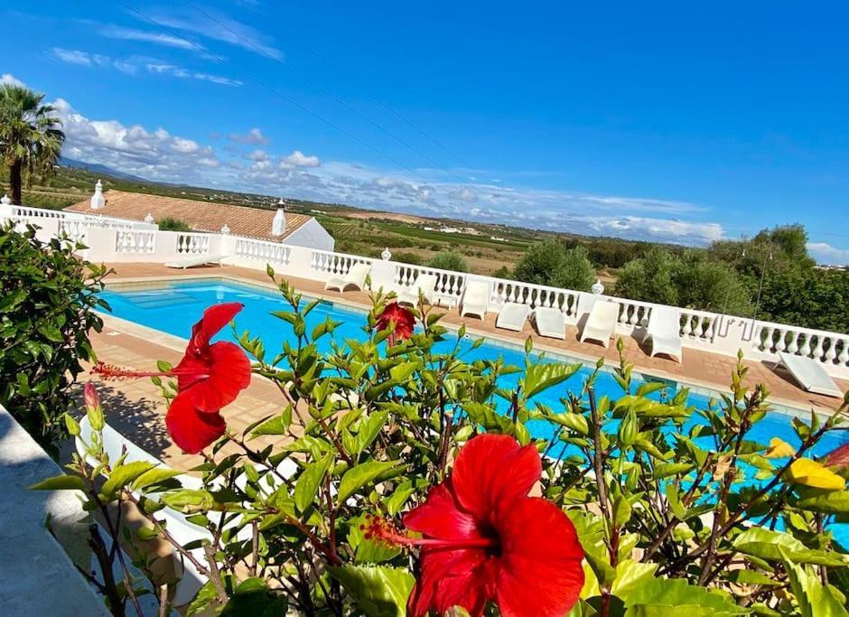Blue Skies Villas 1&2 Mexilhoeira Grande 외부 사진